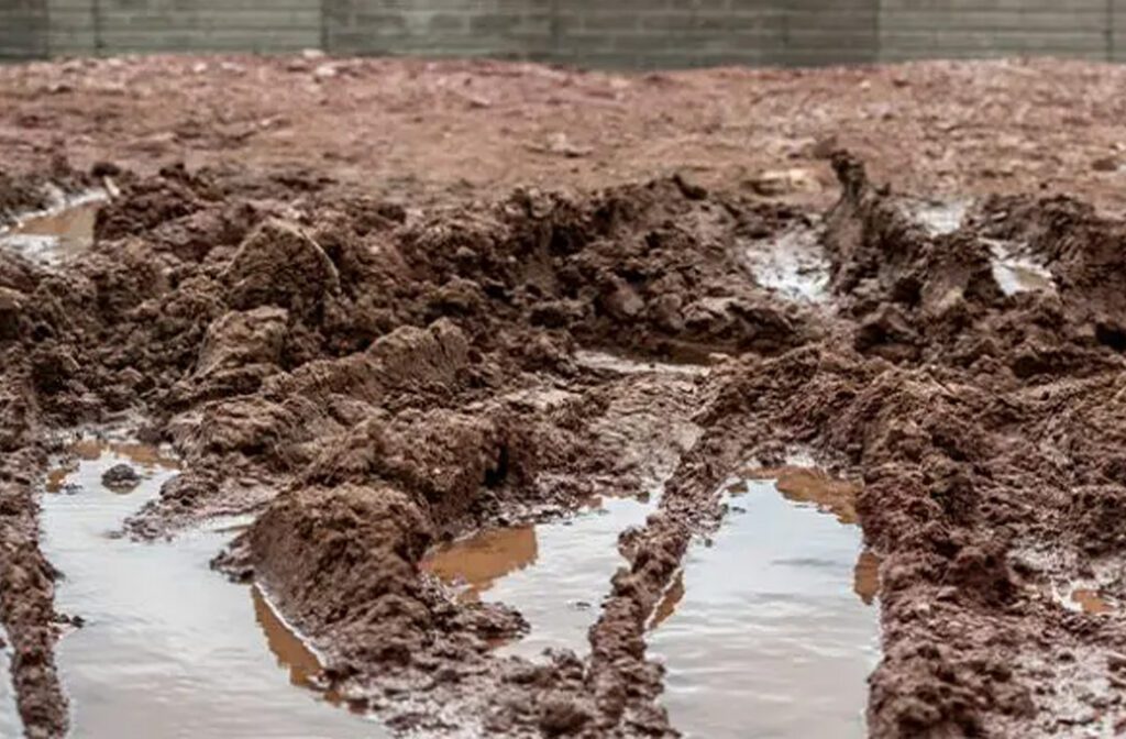 Protecting Landscaping During Unpredictable Weather