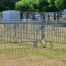 Temporary fencing outlining a construction work area