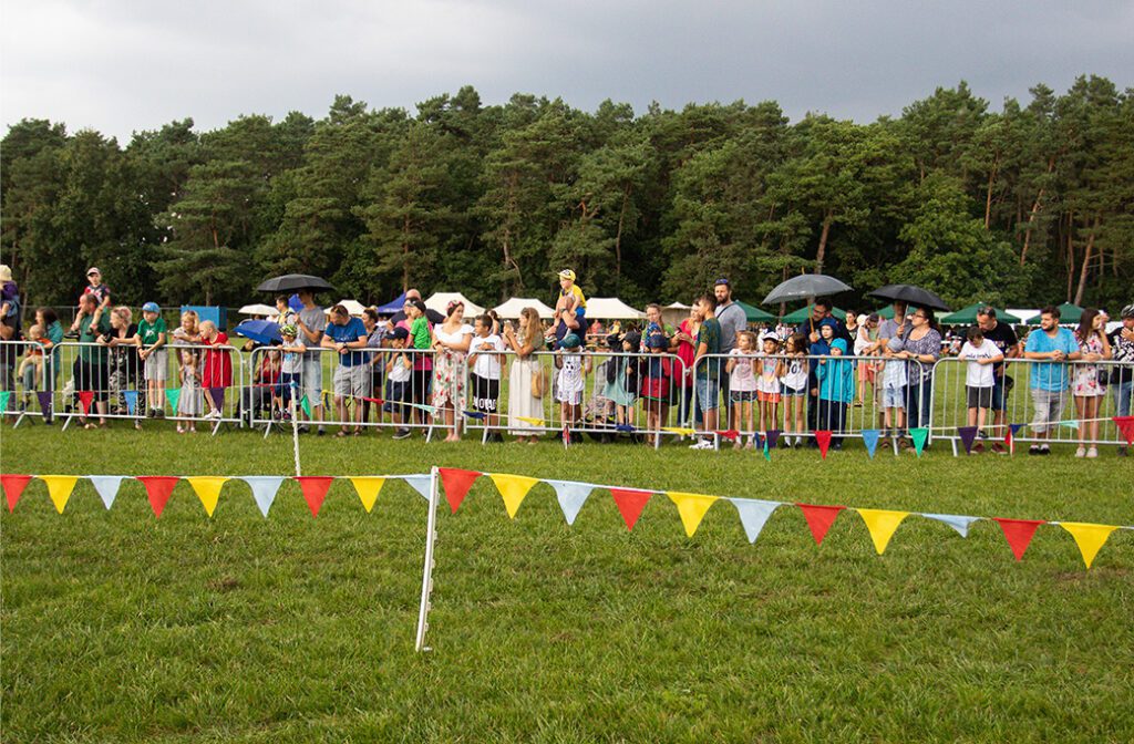 Pedestrian Fencing for Festivals: Ensuring Safety and Fun