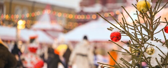 Temporary Fencing for Ice Rinks & Winter Event Safety