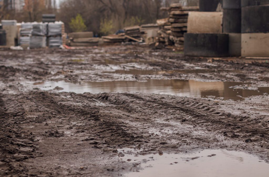 6. Safety and Liability Prevention